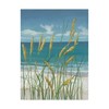 Trademark Fine Art Tim Otoole 'Ua Ch Summer Breeze Ii' Canvas Art, 35x47 WAG04512-C3547GG